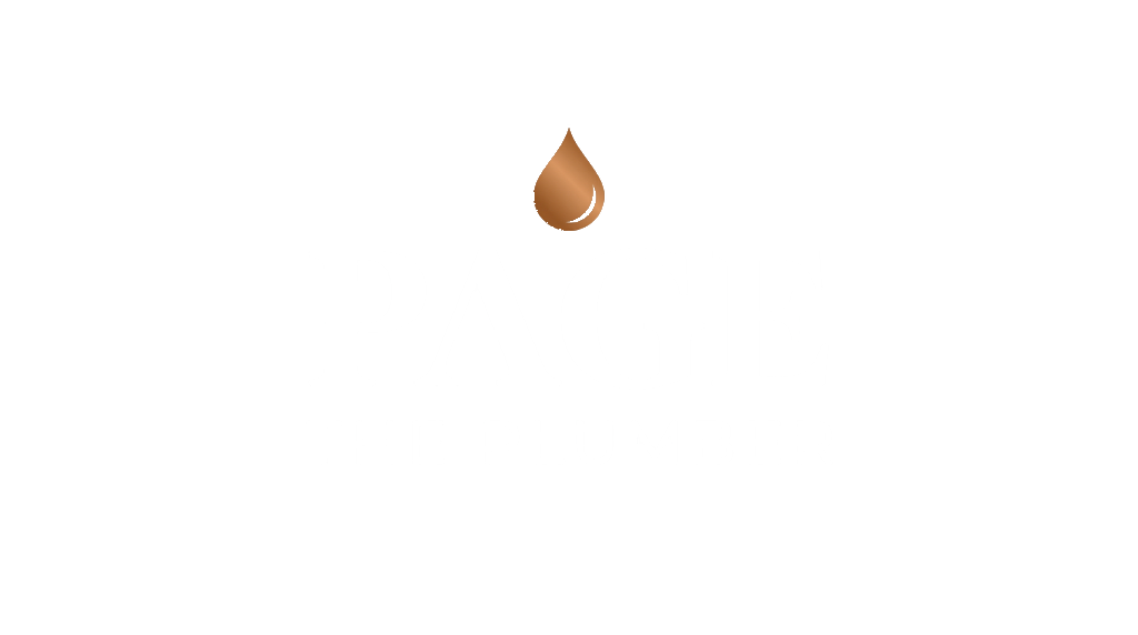 Page The Plumber